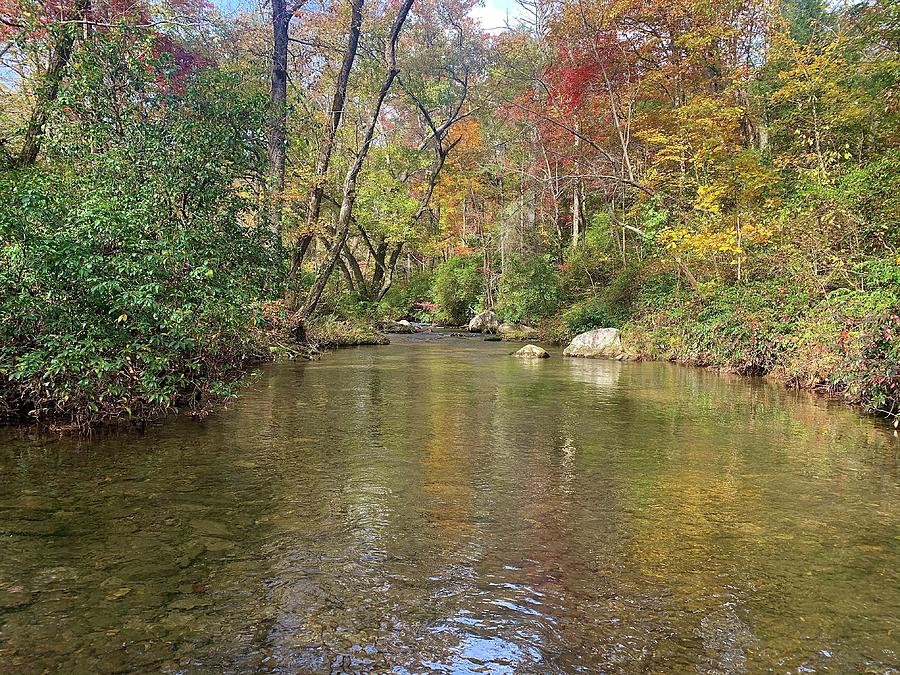 Dukes Creek Photograph by Mary Kate Stranix - Fine Art America