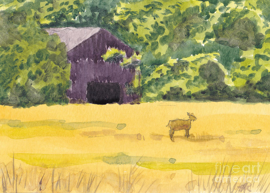 Dukes Field Painting by Maryland Outdoor Life
