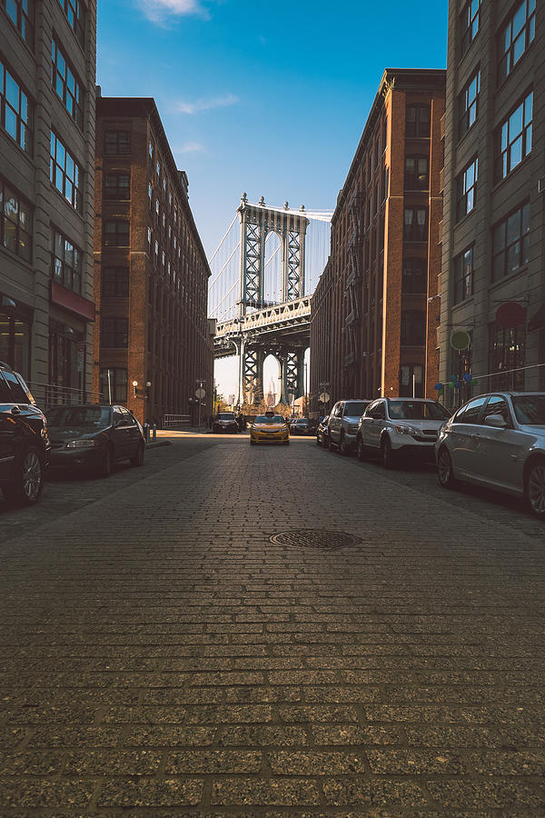 Dumbo Photograph by Aleks Ivic Visuals