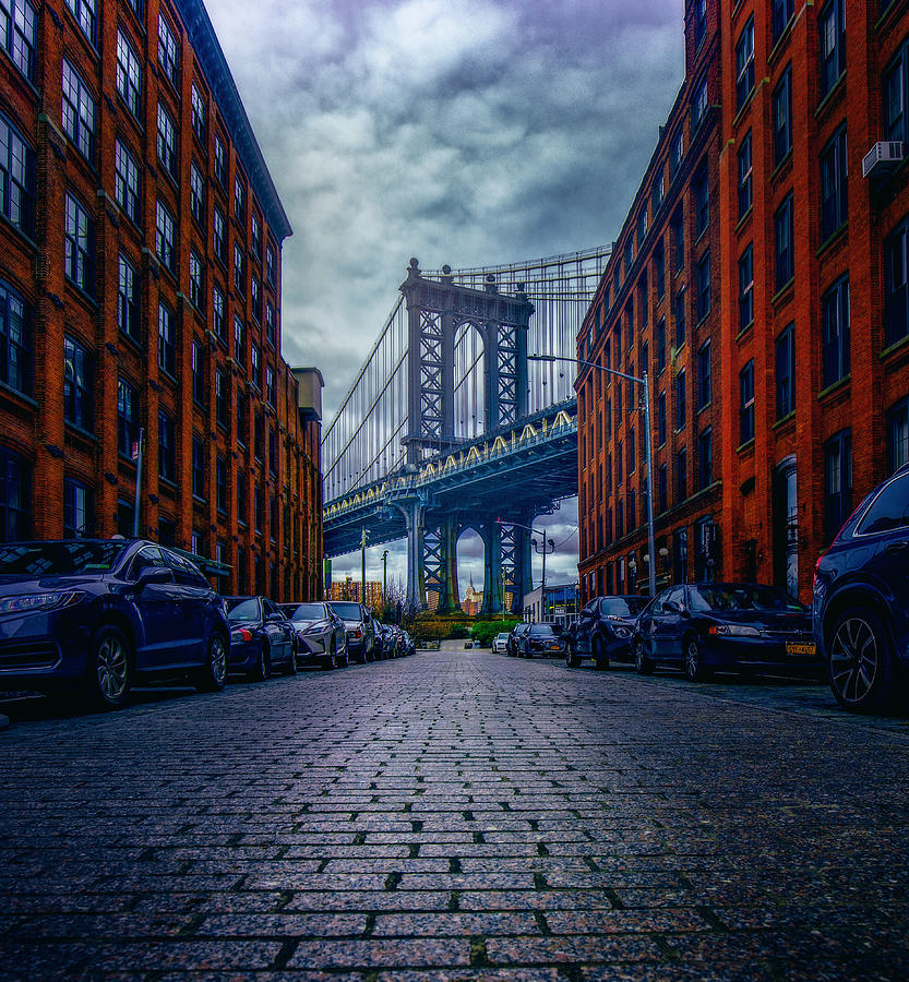 Dumbo Photograph by Andrew Zuber