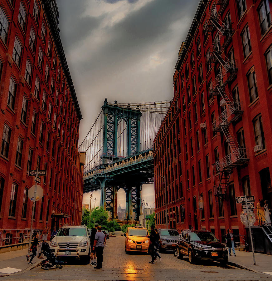 Dumbo Photograph by M Damien - Fine Art America