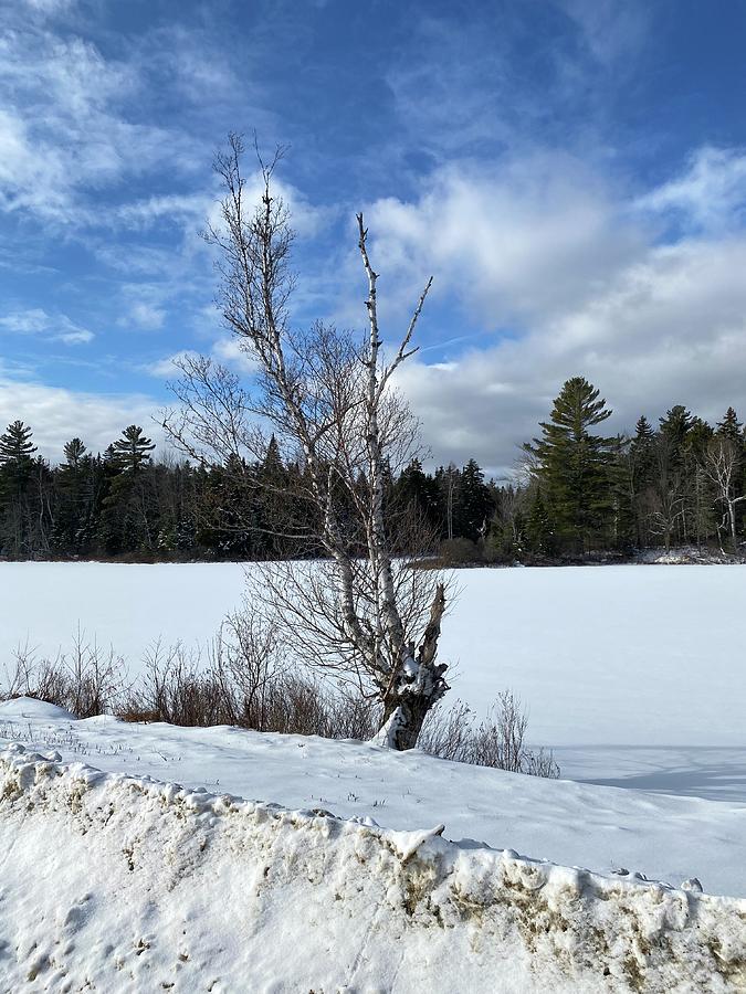 Dummer NH - Winter Day Photograph by Maria Trombas - Fine Art America