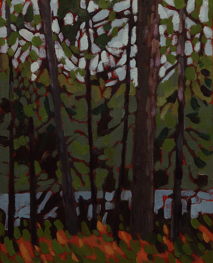 Dumoine Campsite Screen of Pines Painting by Phil Chadwick Dumoine Campsite Screen of Pines Painting by Phil Chadwick