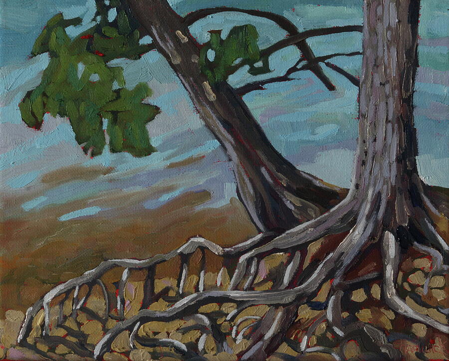 Dumoine Shore Twisted Roots Painting by Phil Chadwick Dumoine Shore Twisted Roots Painting by Phil Chadwick