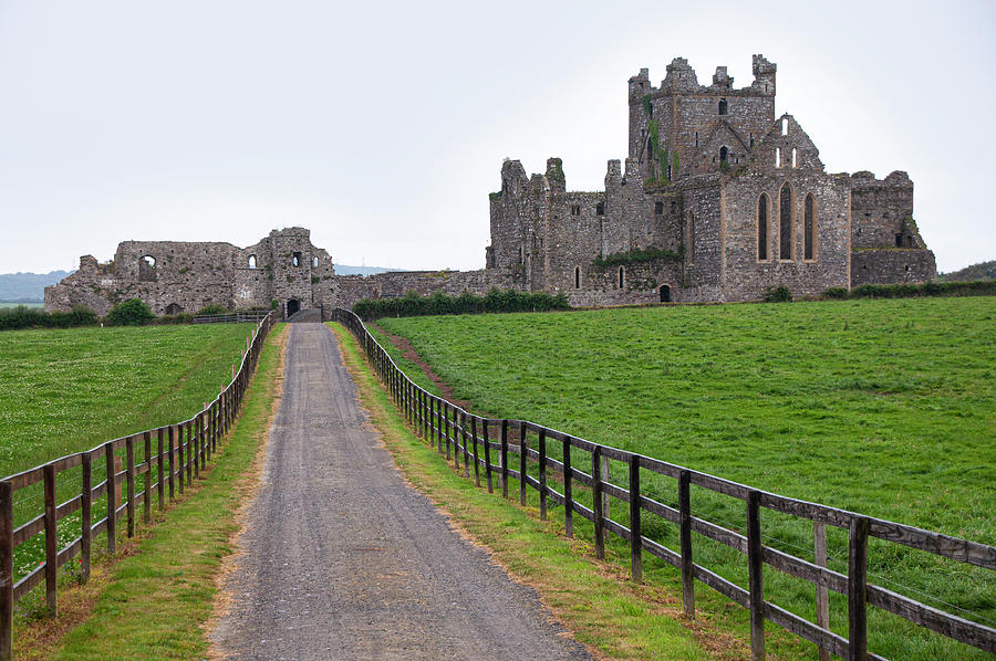 Dunbrody Abbey - Wexford, Ireland Photograph by Denise Strahm