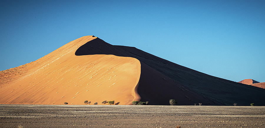 Dune 40 at Sossusvlei Photograph by Douglas Wielfaert