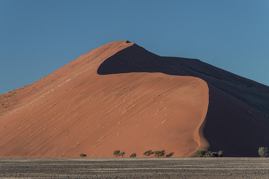 Dune 40 Namibia Two Photograph by Douglas Wielfaert