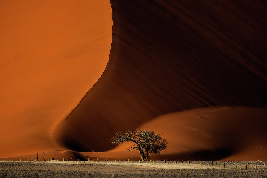 Dune 45 Photograph by Stefan Knauer