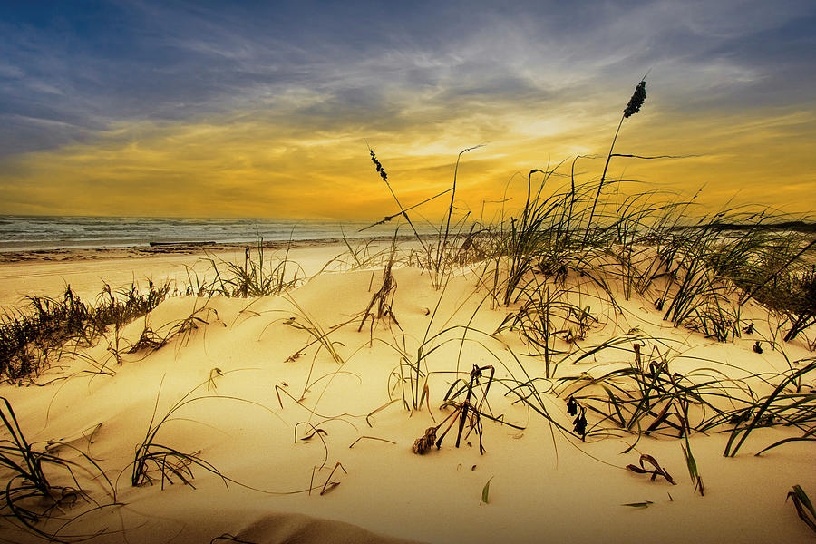 Dune and Beach Grass at Sunset on Padre Island Photograph by Randall Nyhof