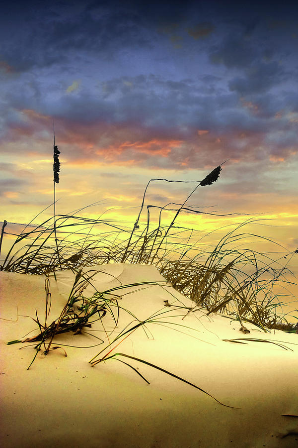 Dune and Beach Grass Photograph by Randall Nyhof