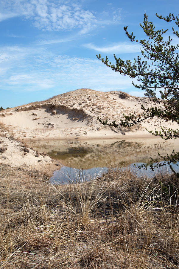 Dune And Water Photograph