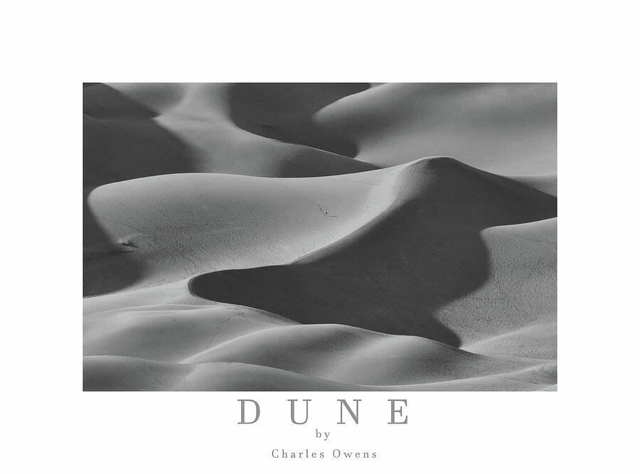 Dune Photograph by Charles Owens