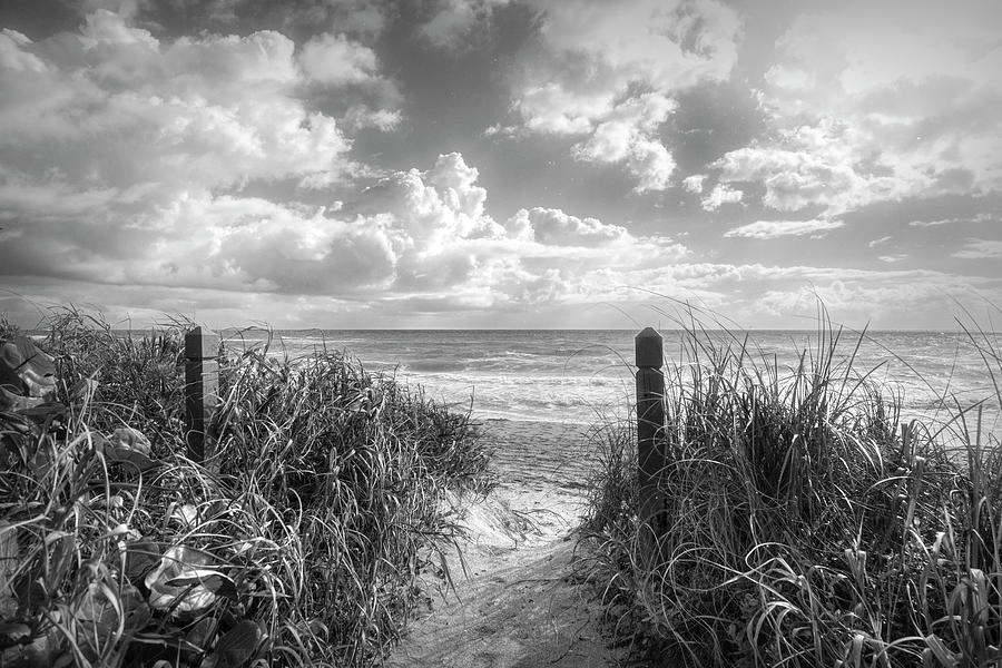 Dune Clouds over the Ocean Black and White Photograph by Debra and Dave Vanderlaan