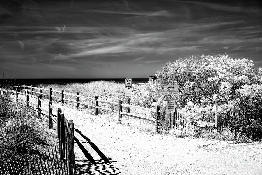 Dune Comfort Infrared at Ocean City Photograph by John Rizzuto - Fine ...