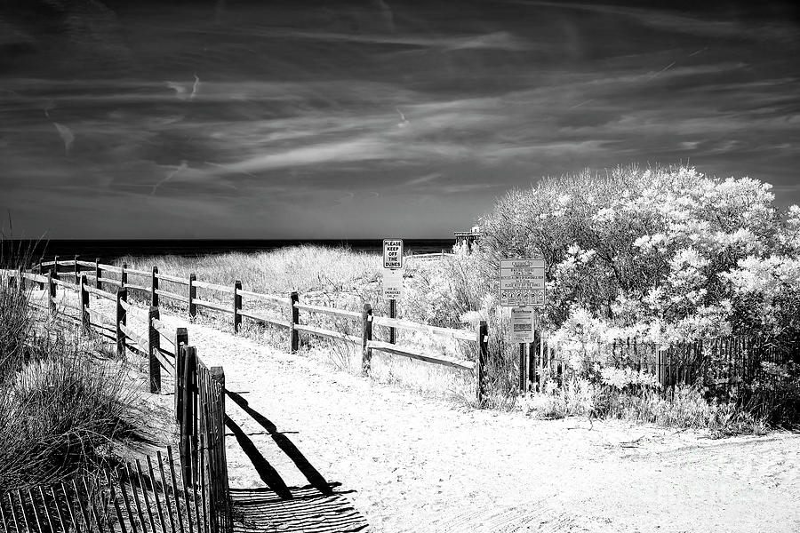 Dune Comfort Infrared at Ocean City Photograph by John Rizzuto - Pixels