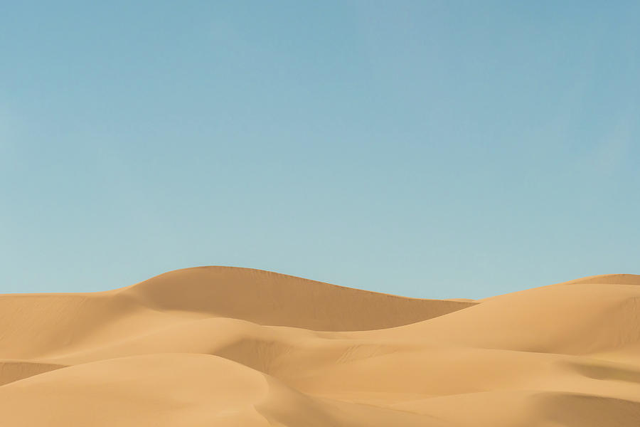 Dune Delight Photograph by Jessica Yurinko