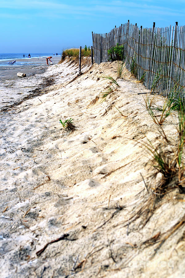 Dune Dimensions in Cape May New Jersey Photograph by John Rizzuto