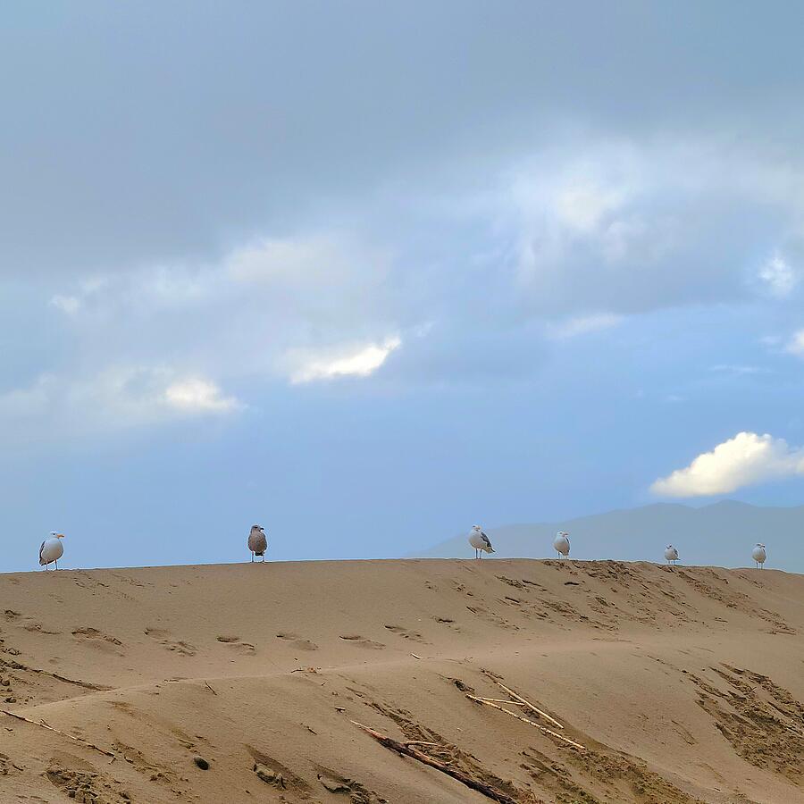 Dune Eyes Photograph by Austin Brown - Fine Art America