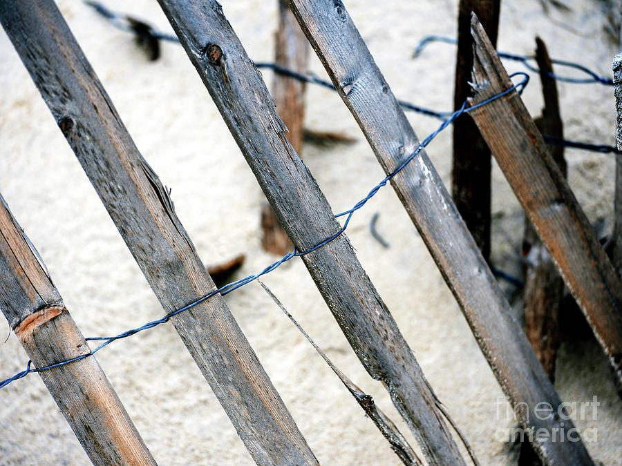 Dune Fence Details at Beach Haven Photograph by John Rizzuto