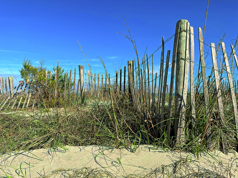 Dune Fence for the Beach Photograph by Bill Swartwout - Pixels