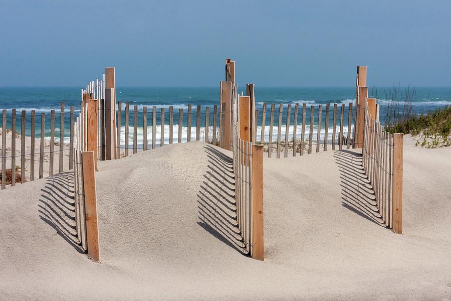 Dune Fence Landscape Photograph by Liza Eckardt