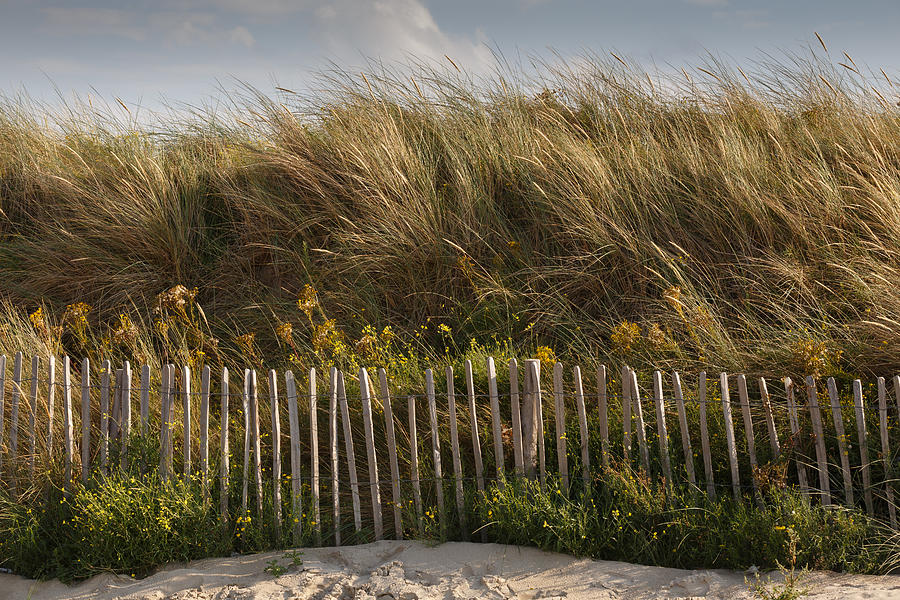 Dune fence Photograph by Paul Indigo