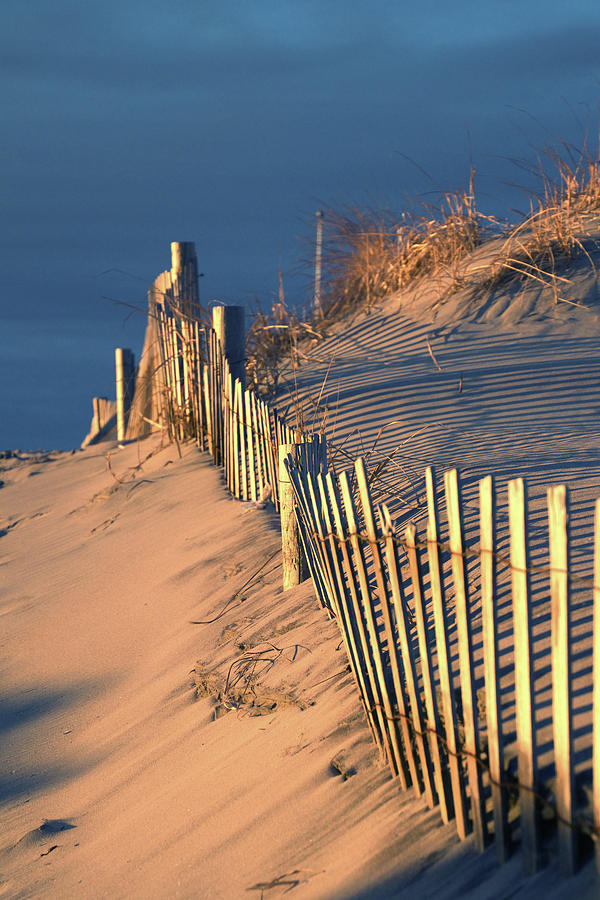 Sunset Photograph - Dune Fence by Seth Love