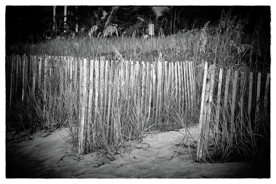 dune fences July 2020 Photograph by Robert Hopkins