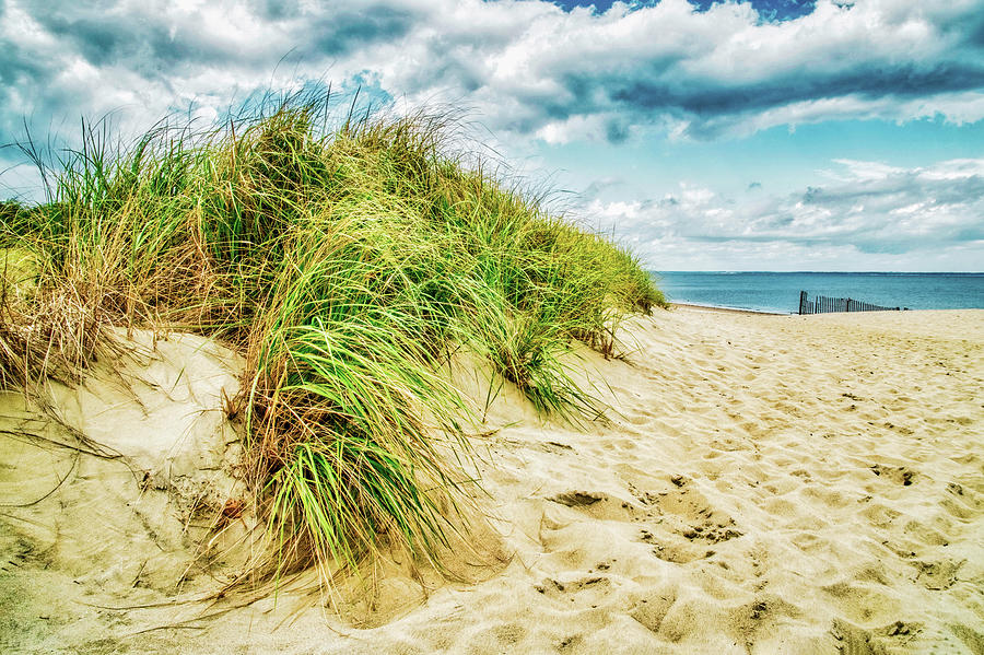 Dune Grass At Beach Entrance Photograph by Gary Slawsky