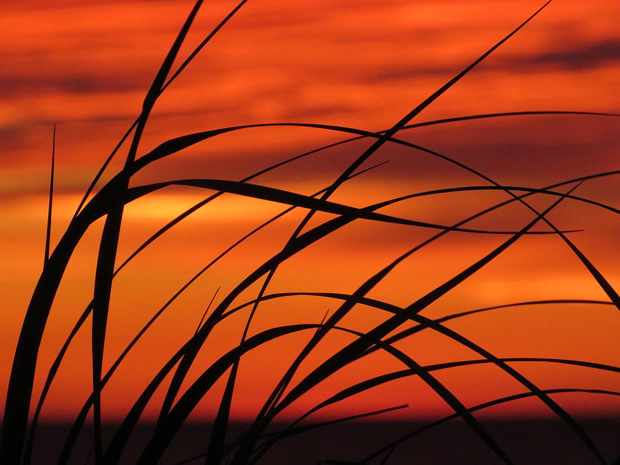 Dune Grass Sunset - #21458 Photograph by StormBringer Photography