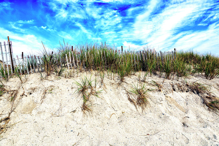 Dune Height at Cape May 2008 Photograph by John Rizzuto