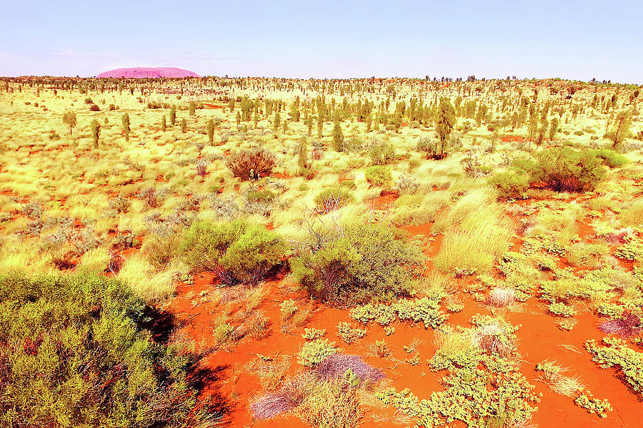 Dune Landscape to Uluru Photograph by Lexa Harpell