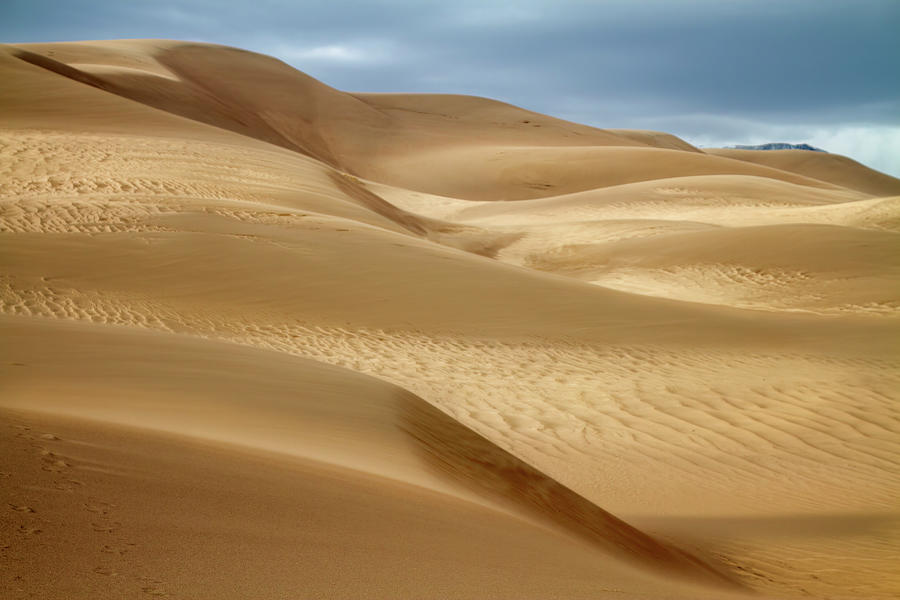 Dune Light 8668 Photograph by Karen Celella - Fine Art America