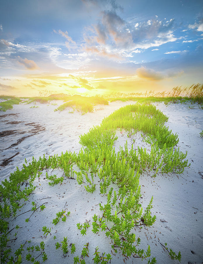 Dune Marsh Sunset Gulf Islands National Seashore Florida Photograph by Jordan Hill