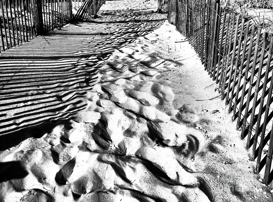 Dune Path at Long Beach Island Photograph by John Rizzuto