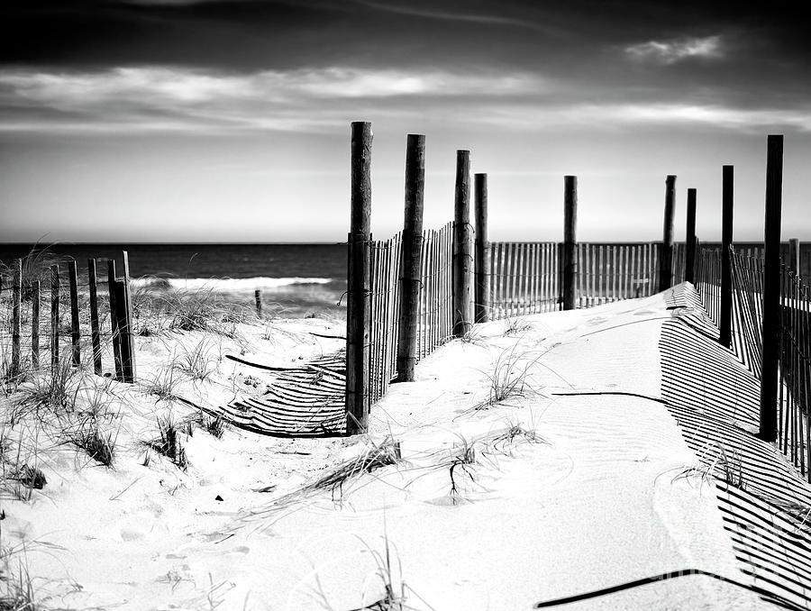 Dune Patterns at Seaside Park Photograph by John Rizzuto | Fine Art America