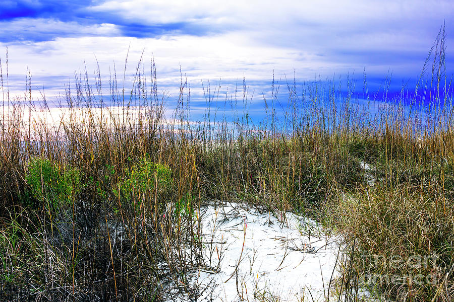 Dune Peace at North Myrtle Beach Photograph by John Rizzuto