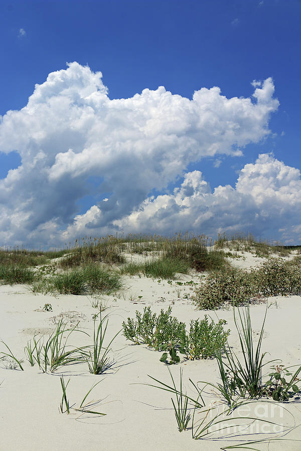 Dune Perfection Photograph by Mary Haber