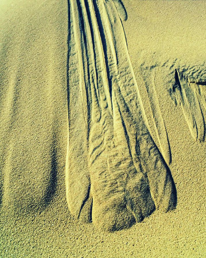 Dune Sand Sculpted By The Rain Photograph by Gary Slawsky