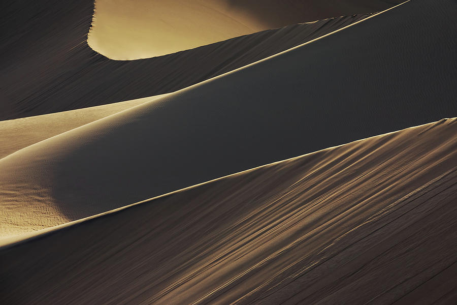 Dune Shadows Photograph