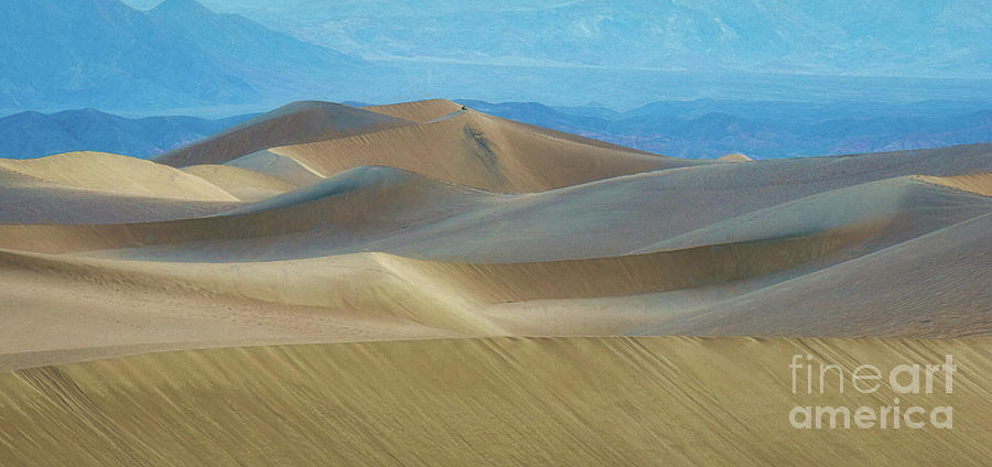 Dune shapes Photograph by Izet Kapetanovic