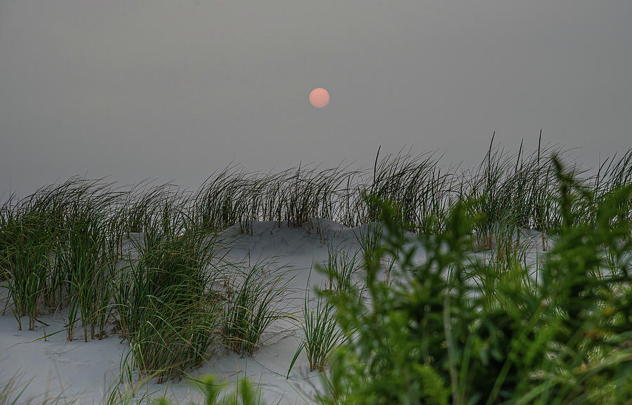Dune Sunrise Photograph by Lynn Thomas Amber