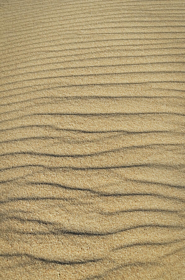Dune Textures Photograph by Angelo DeVal