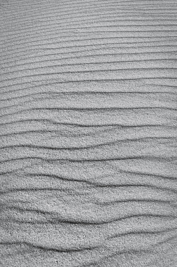 Dune Textures in Monochrome Photograph by Angelo DeVal