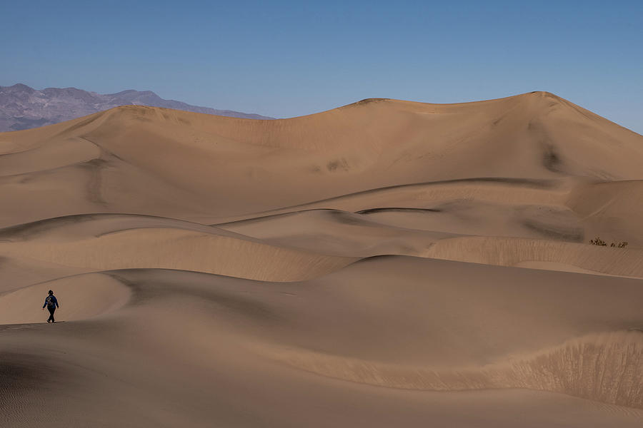 Dune Walker Photograph by Stephen Sloan - Fine Art America