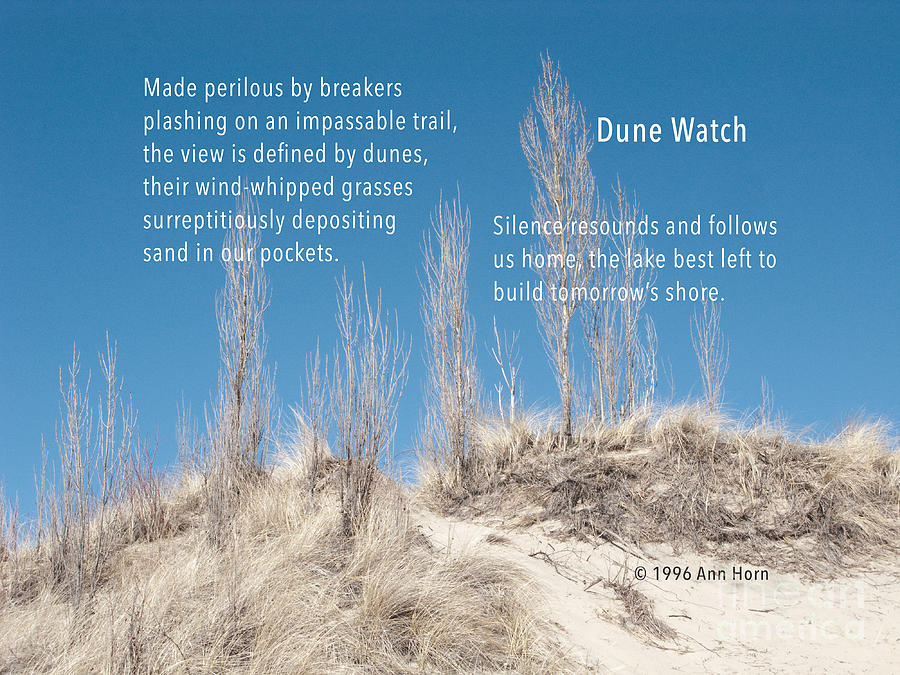 Dune Watch Photograph by Ann Horn