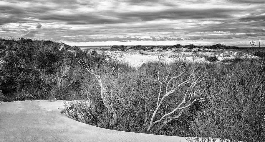 Dune Zone View at Cedar Island Beach Photograph by Bob Decker