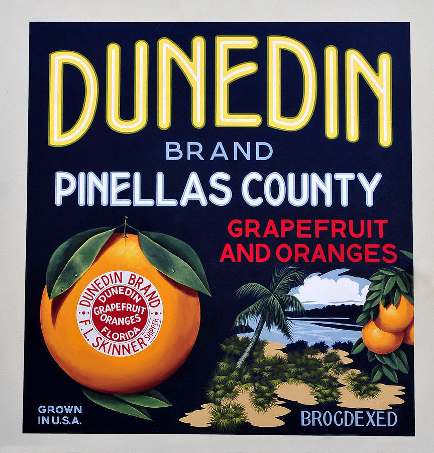 Dunedin Brand orange crate label  Photograph by David Lee Thompson
