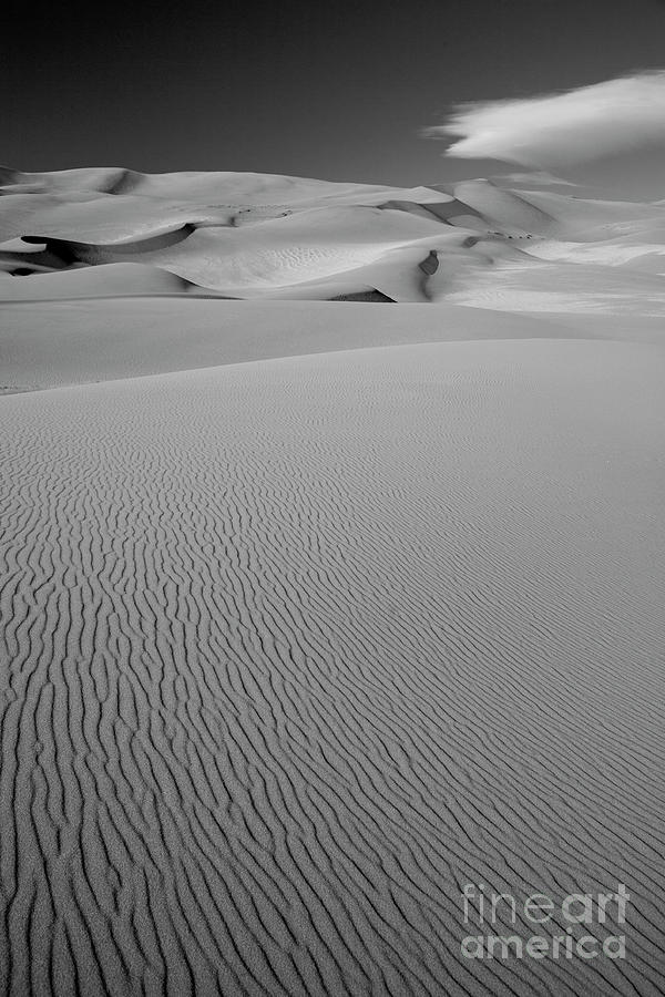 Dunes 1 Photograph by Timothy Johnson
