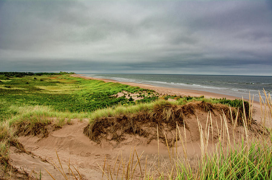 Dunes Along the Atlantic Shore Photograph by Marcy Wielfaert